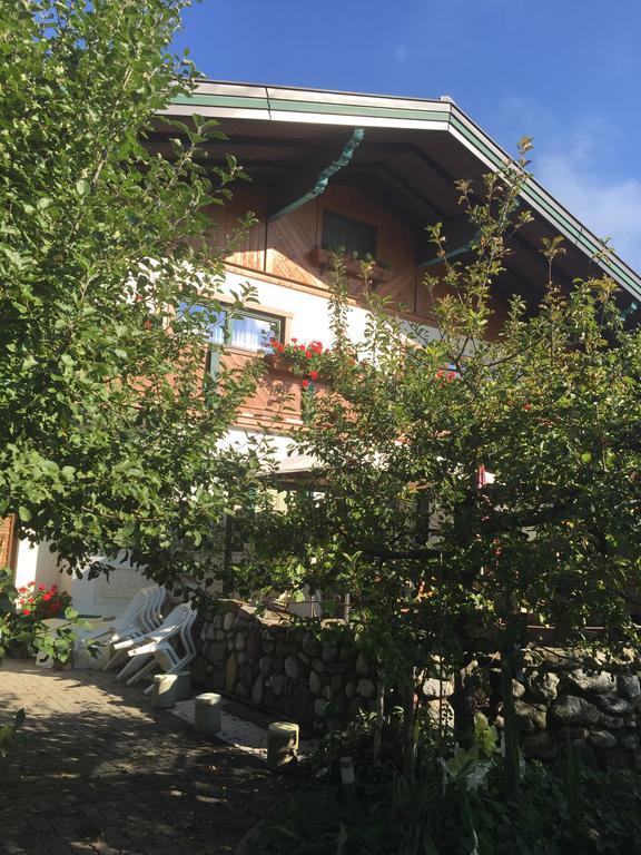 Pension Wieser "Baschtlmai" Altenmarkt im Pongau Eksteriør billede